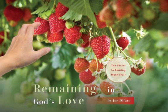 Remaining in God’s Love: The Secret to Bearing Much Fruit by Joe Difato