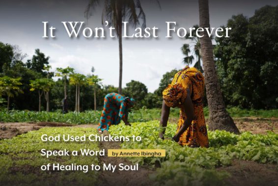 It Won’t Last Forever: God Used Chickens to Speak a Word of Healing to My Soul by Annette Ibingha