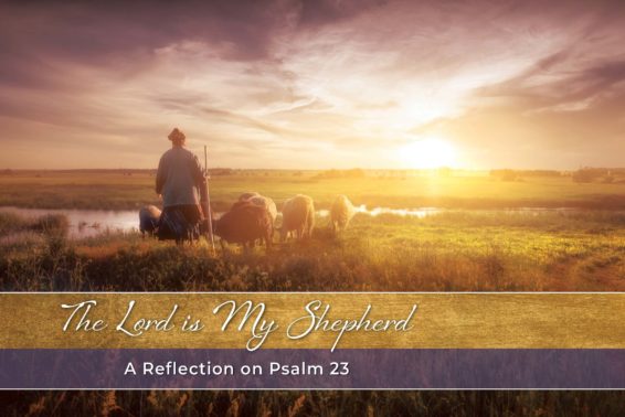 The Lord Is My Shepherd: A Reflection on Psalm 23