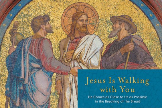 Jesus Is Walking with You: He Comes as Close to Us as Possible in the Breaking of the Bread  by Mark Hart