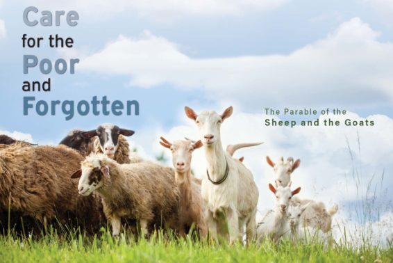 Care for the Poor and Forgotten: The Parable of the Sheep and the Goats