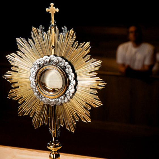 The “Divine Logic” behind Eucharistic Adoration | The Word Among Us